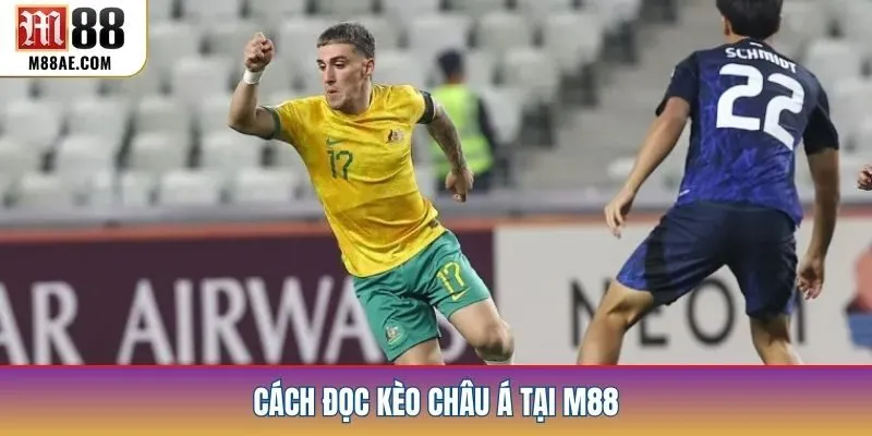 Cách đọc kèo châu Á tại M88