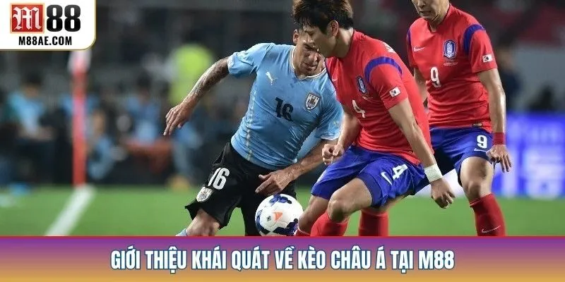 Giới thiệu khái quát về kèo châu Á tại M88