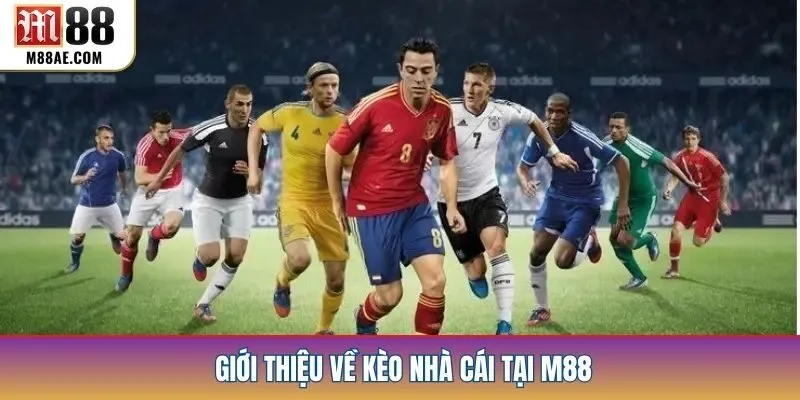 Giới thiệu về kèo nhà cái tại m88