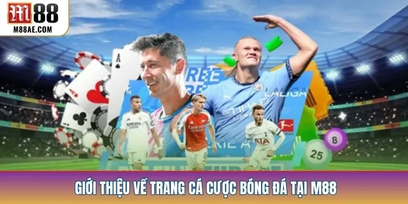 Giới thiệu về trang cá cược bóng đá tại M88