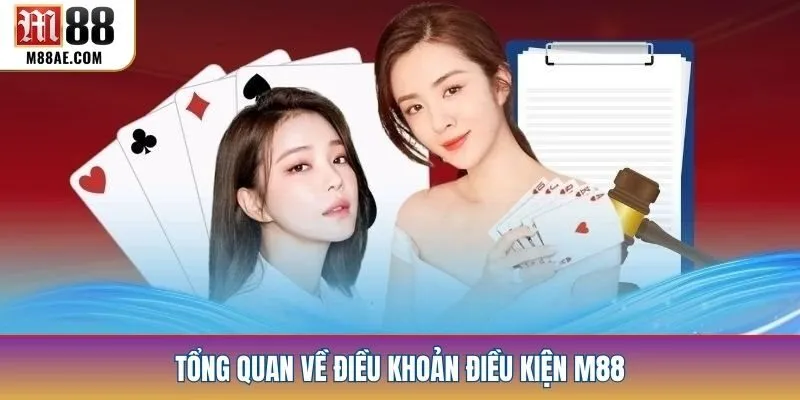Tổng quan về điều khoản điều kiện M88