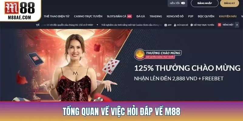 Tổng quan về việc hỏi đáp về m88