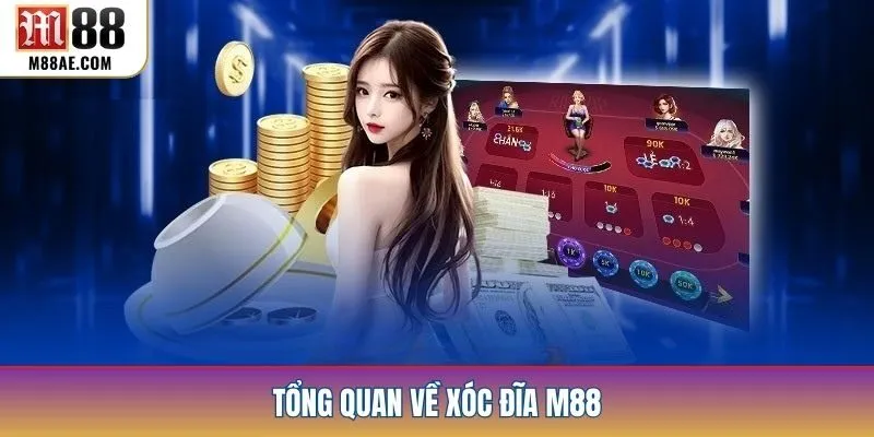 Tổng quan về xóc đĩa M88